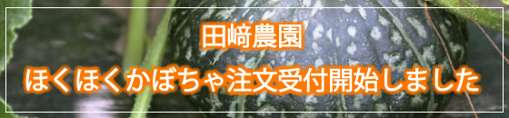 ققڂ̂͂炩